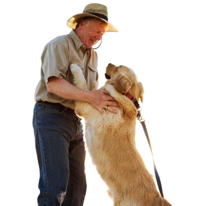 Untitled design - 2023-09-30T050732.289